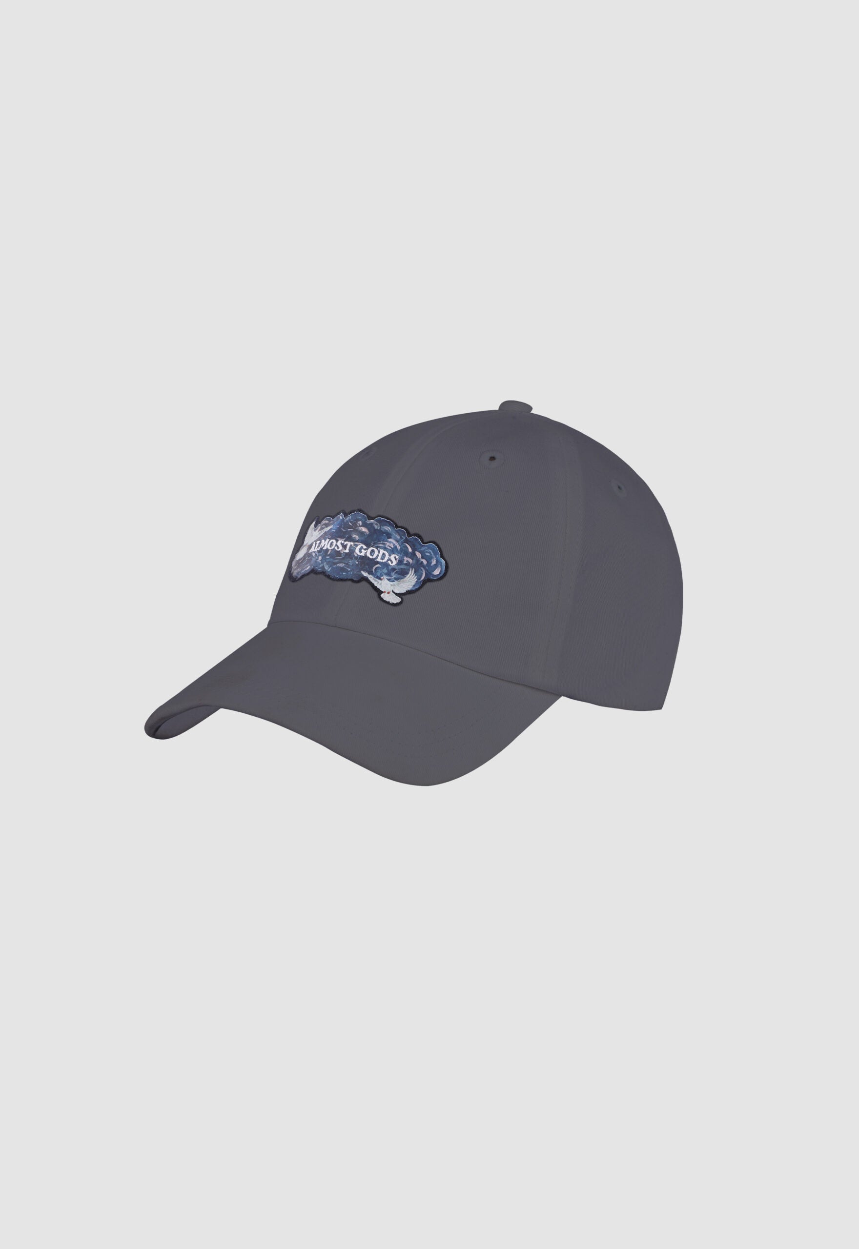 All Seeing Embroidered Cap In Grey