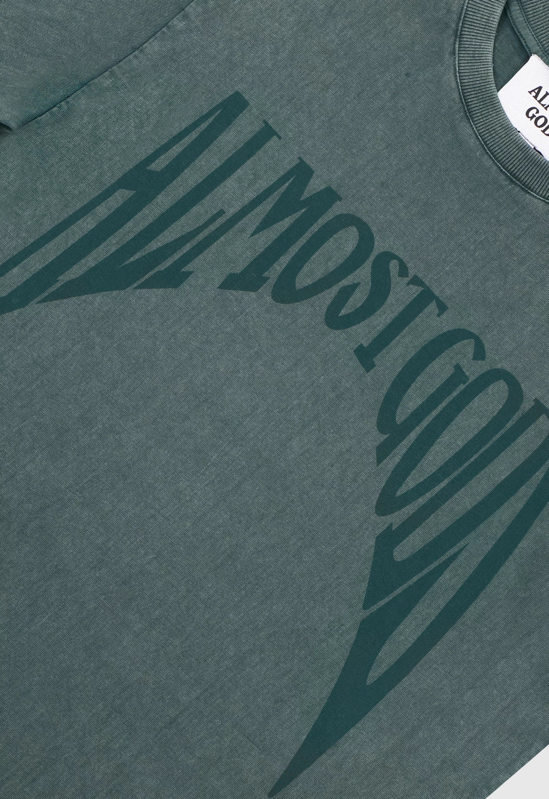 Stonewashed Gothic Regular Tee In Pine