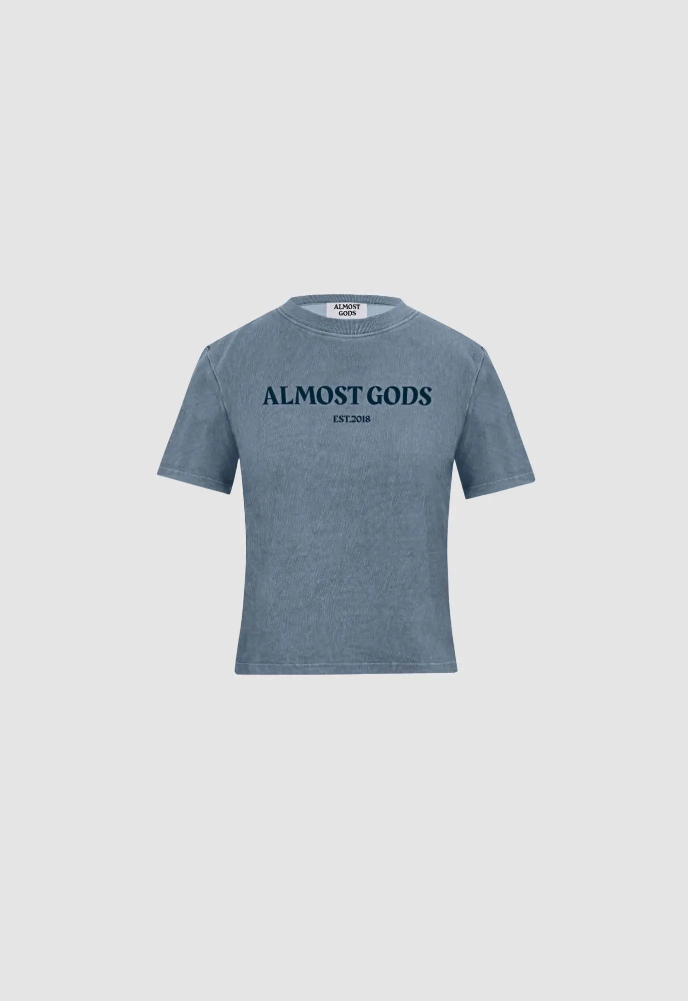 WOMEN'S STONEWASHED ALMOST GODS TEE