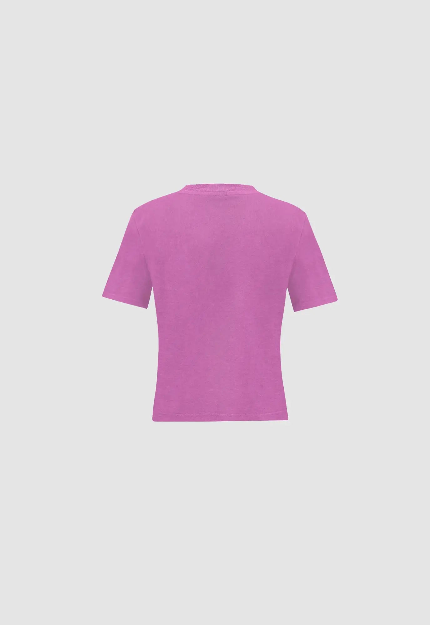 Women's Almost Gods Hand Embroidered Aari Tee In Mauve