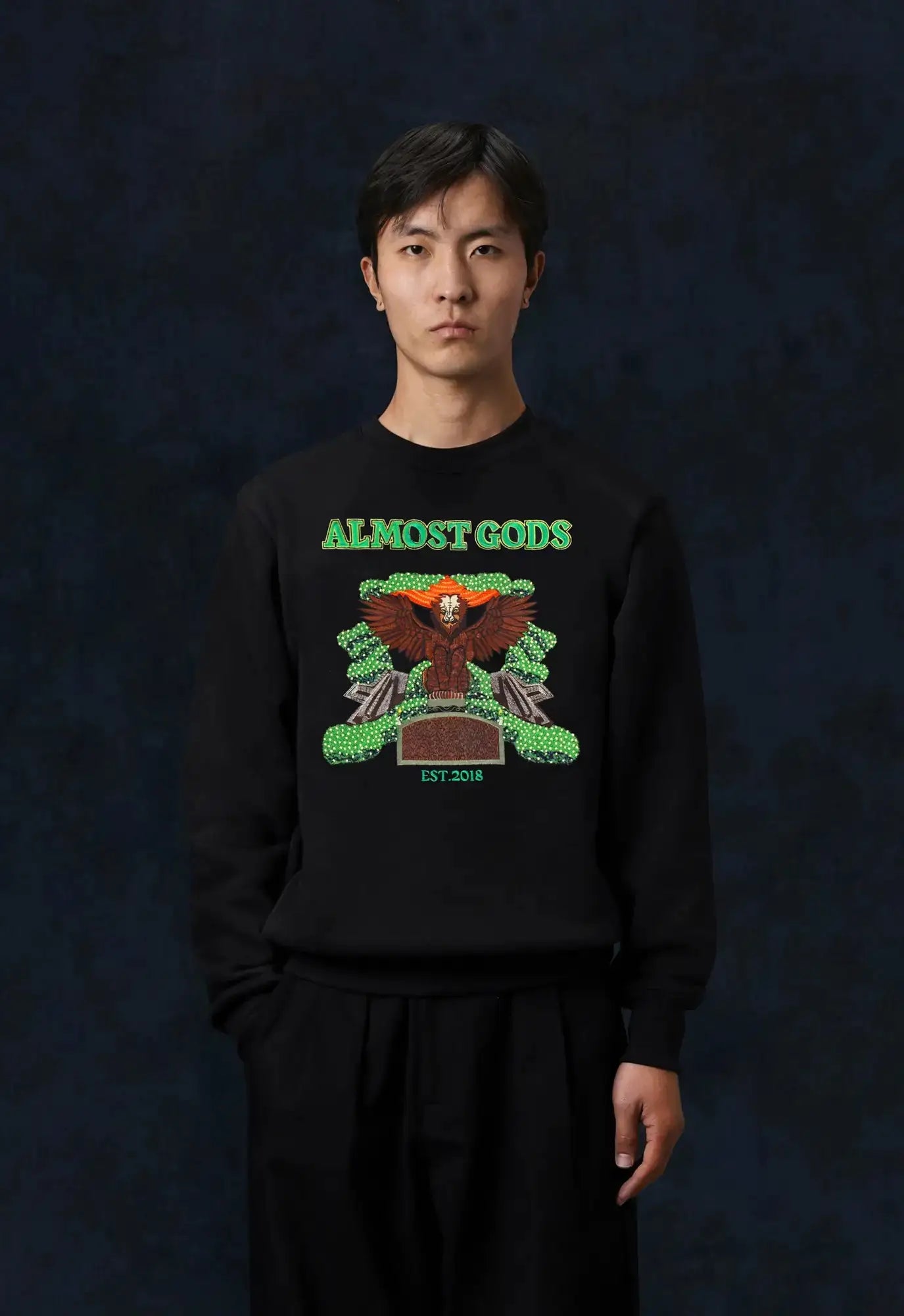 Aari Embroidered Mirage Sweatshirt In Black