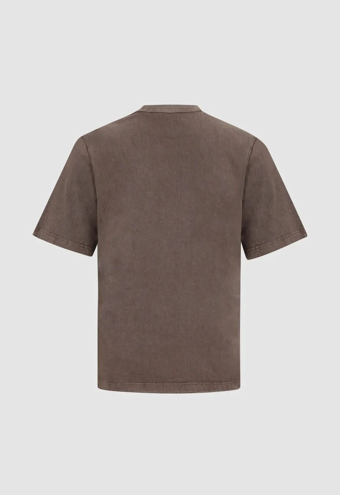 Stonewashed Almost Gods Tee