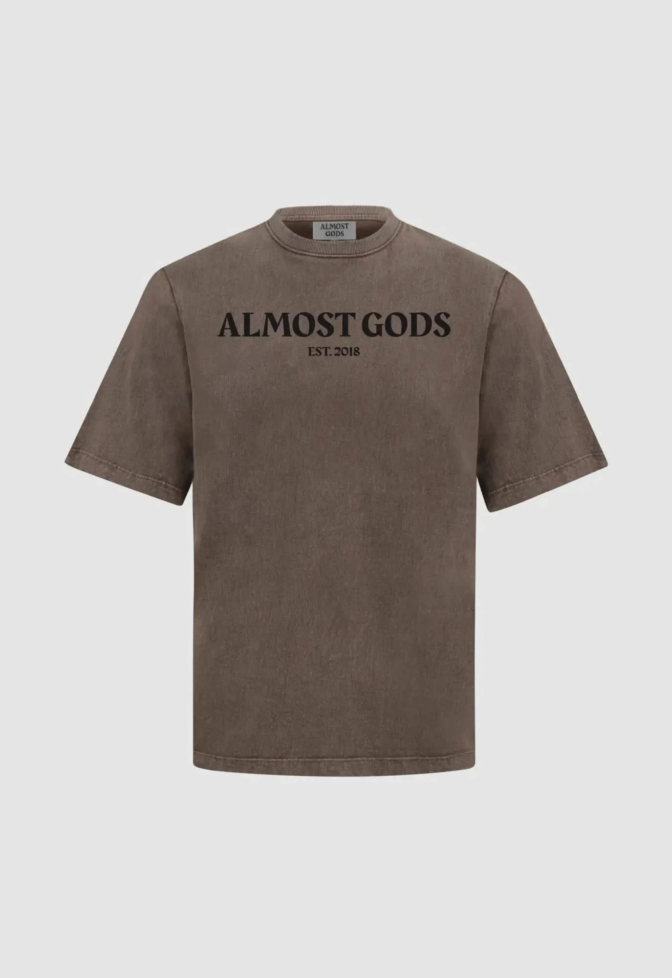Stonewashed Almost Gods Tee