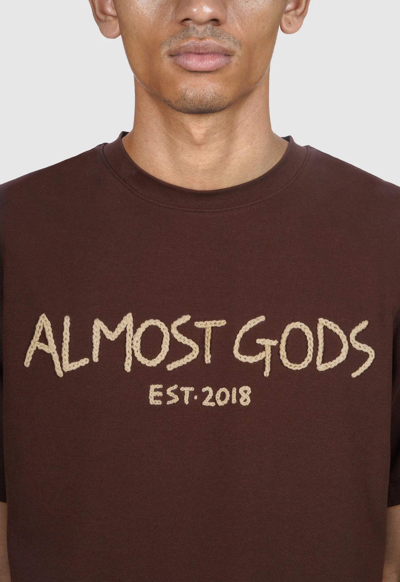 Aari Hand Embroidered Regular Tee in Brown