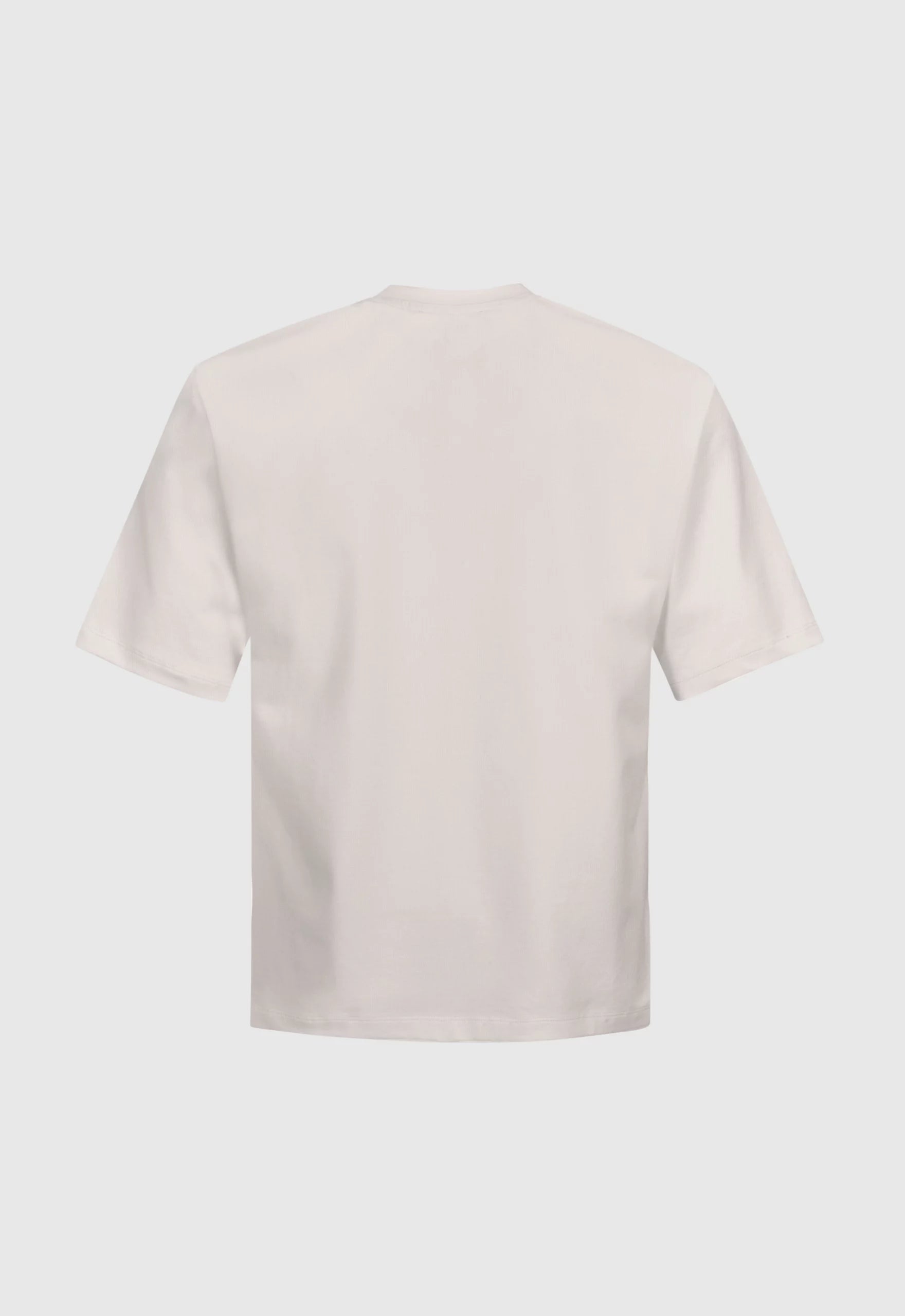 Winged Tiger Embroidered Boxy Tee In Off White