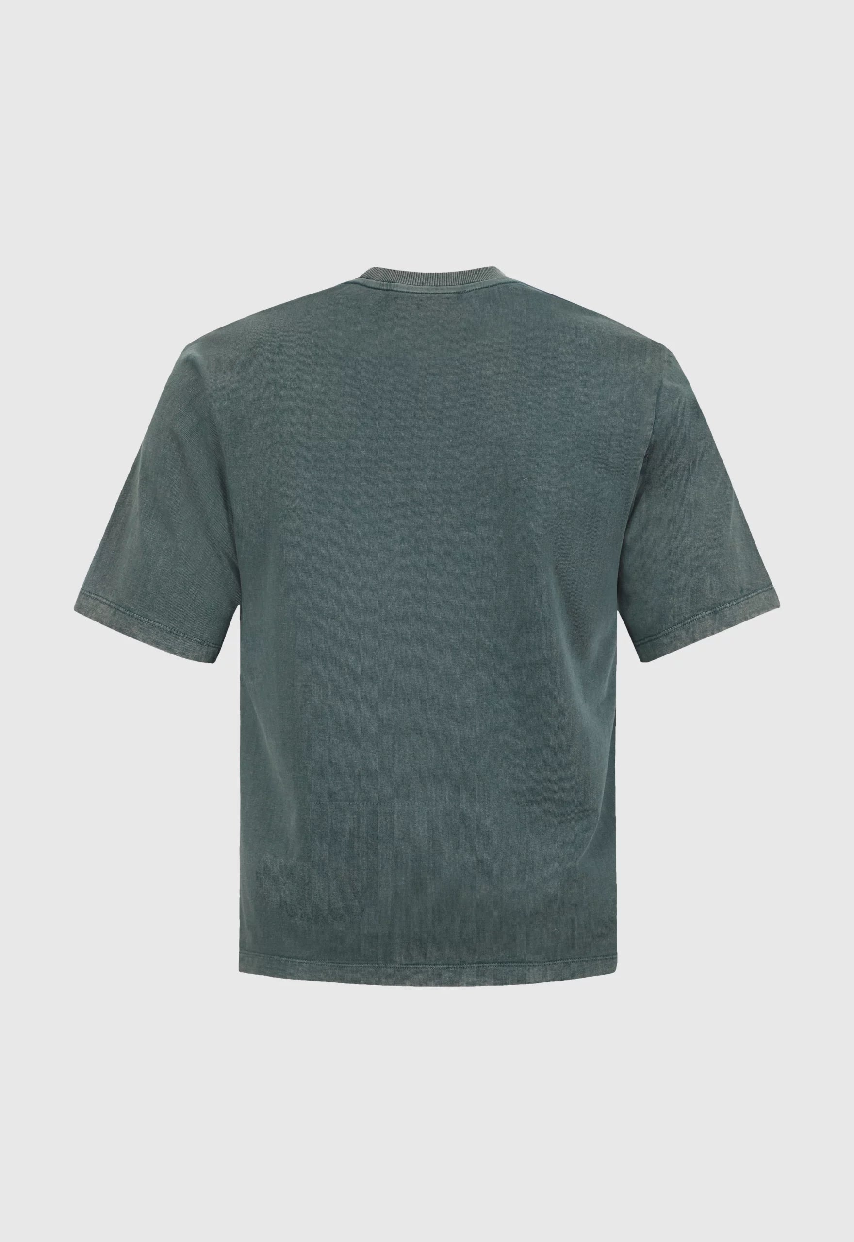 Stonewashed Gothic Regular Tee In Pine