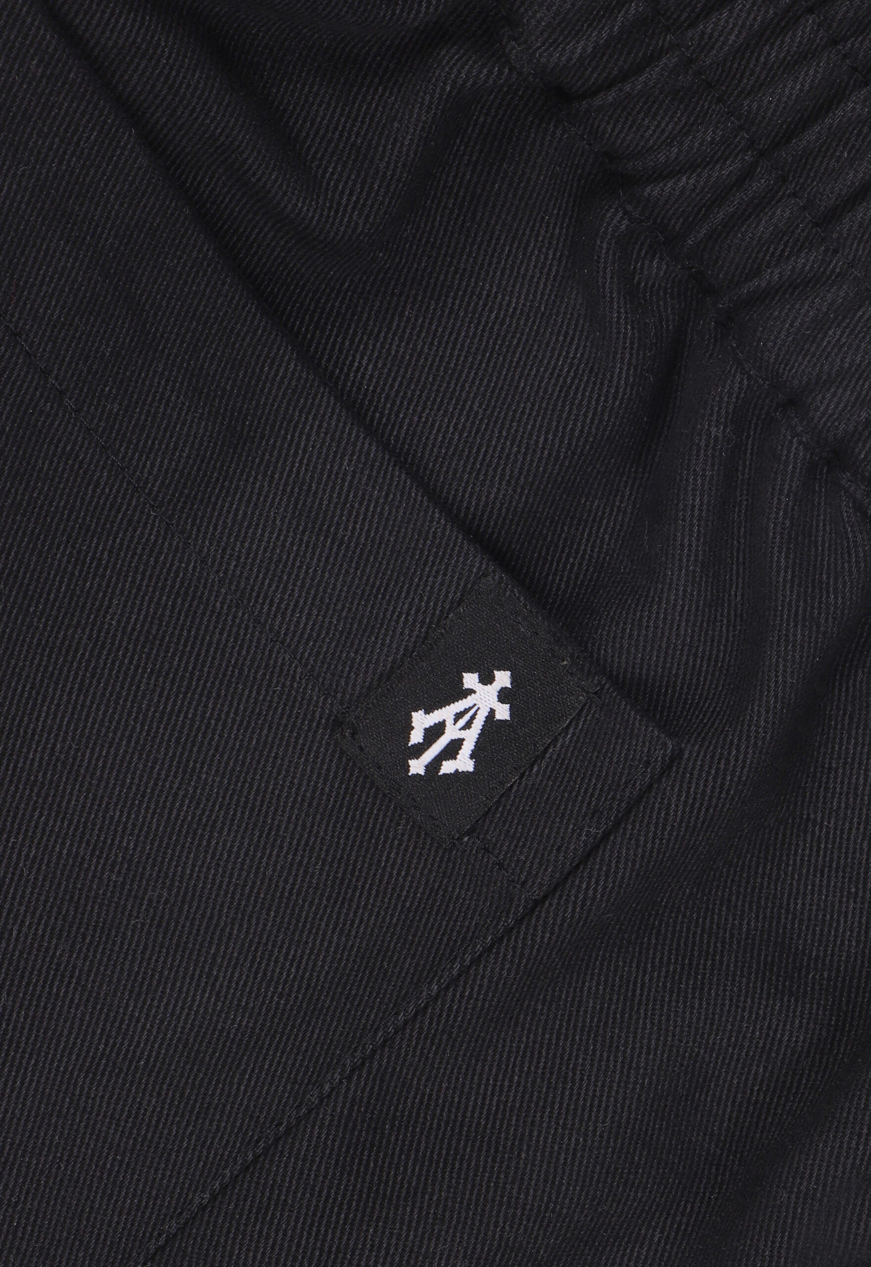 Winged Tiger Embroidered Shorts In Black