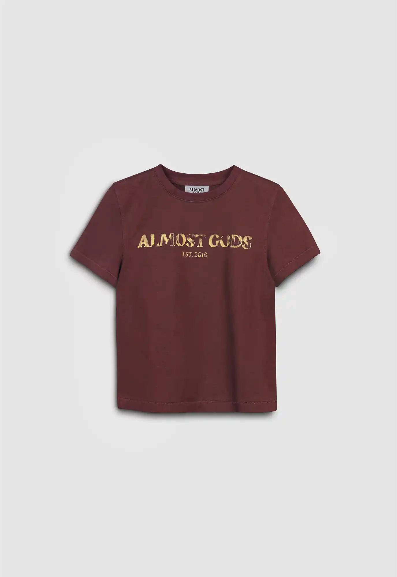 Logo Relaxed Tee In Rust