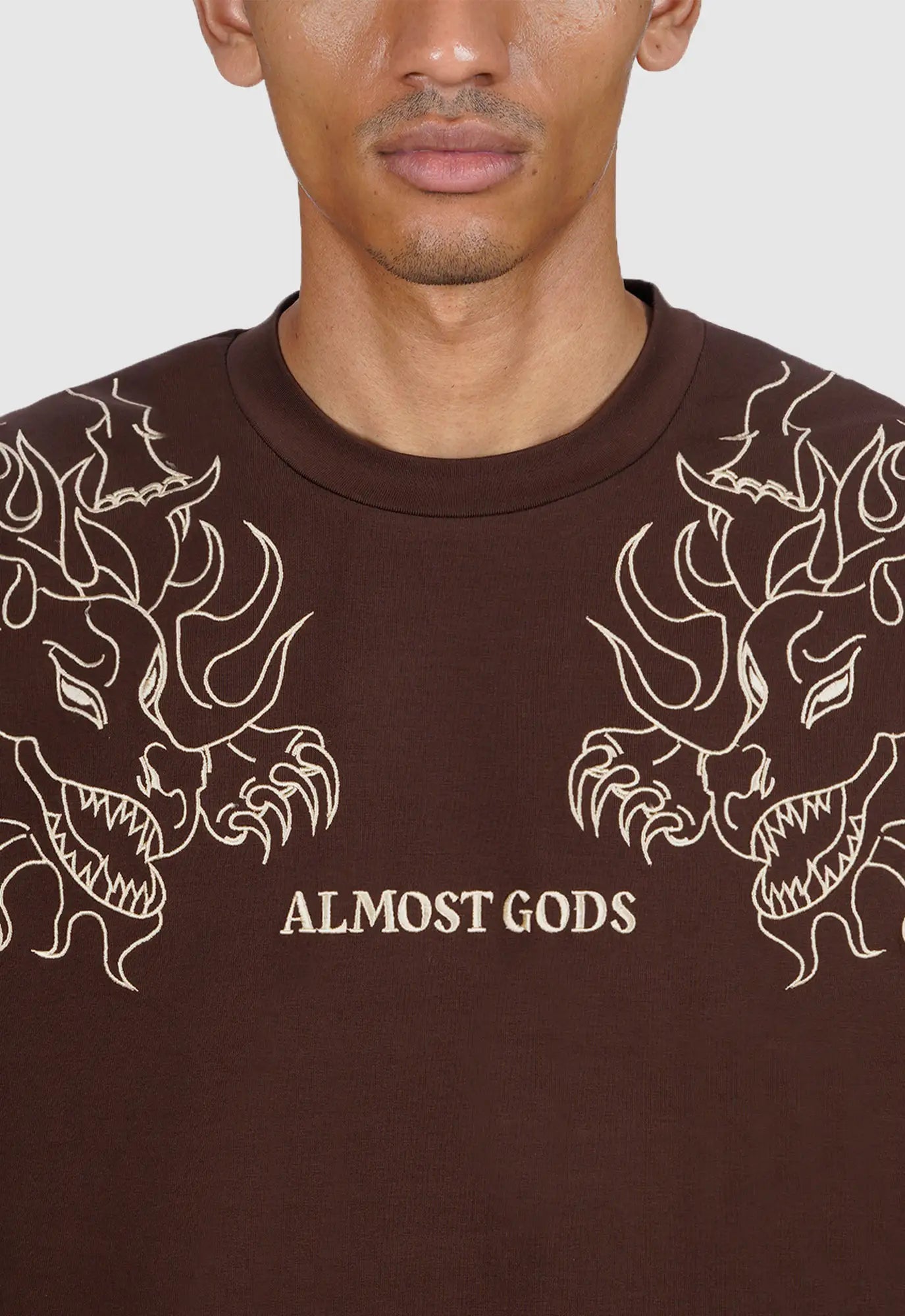 Leviathan Embroidered Boxy Tee in Brown